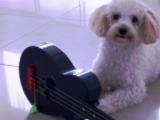 como tocar guitarra acustica y electrica